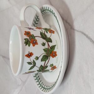 Vintage Portmeirion Botanic Garden Cup/Saucer